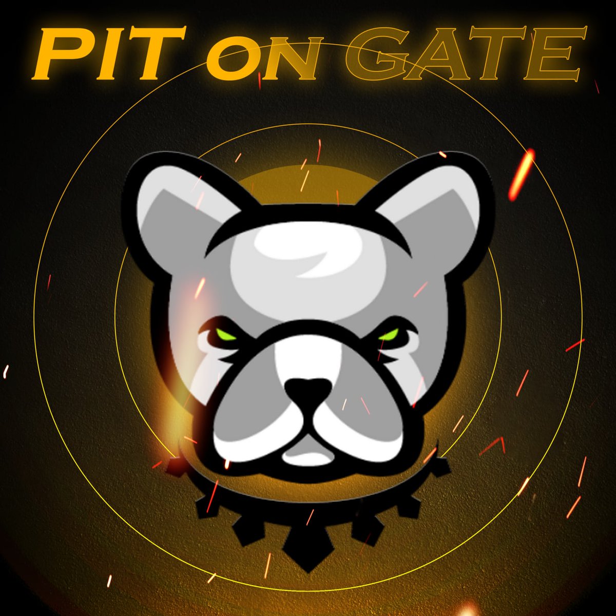 cryptorukawa's tweet photo. You can trade $PIT now on @gate_io !

👉 https://t.co/x83LPkmMx2

#PITonGate #pitbulltoken #pitbull #crypto #gateio $PIT @BscPitbull #BSCGems #1000xgem https://t.co/jet0oubiL7