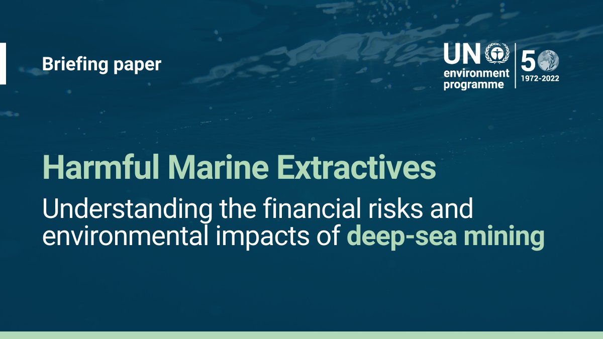 NEW briefing paper sets out why #DeepSeaMining does not align with <a href="/UNEP_FI/">UNEP Finance Initiative (UNEP FI)</a>’s Sustainable #BlueEconomy Finance Principles. Learn about the risks &amp; potentially devastating impacts of financing the extraction of #DeepSea minerals 🌊🌊🌊 bit.ly/HME-dsm #OceanAction #SDG14+