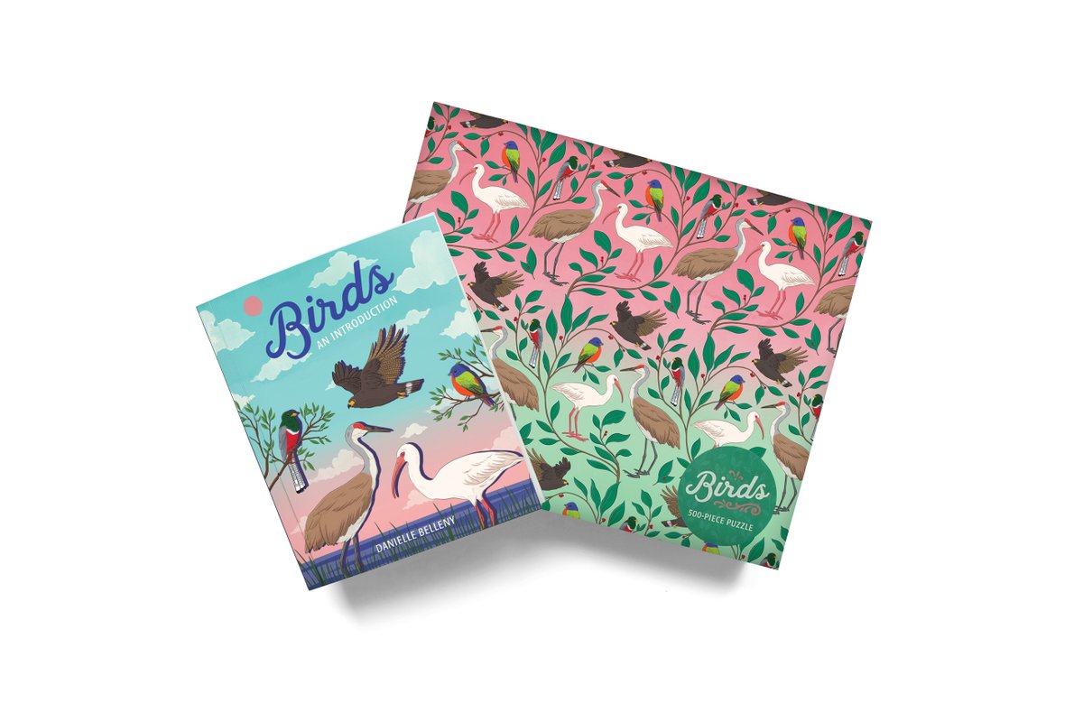 Stephanie Singleton tweet media