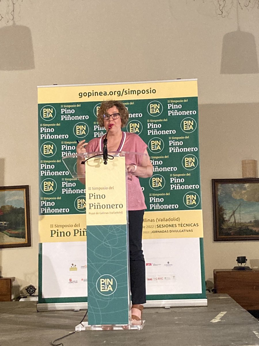 piñones tweet media