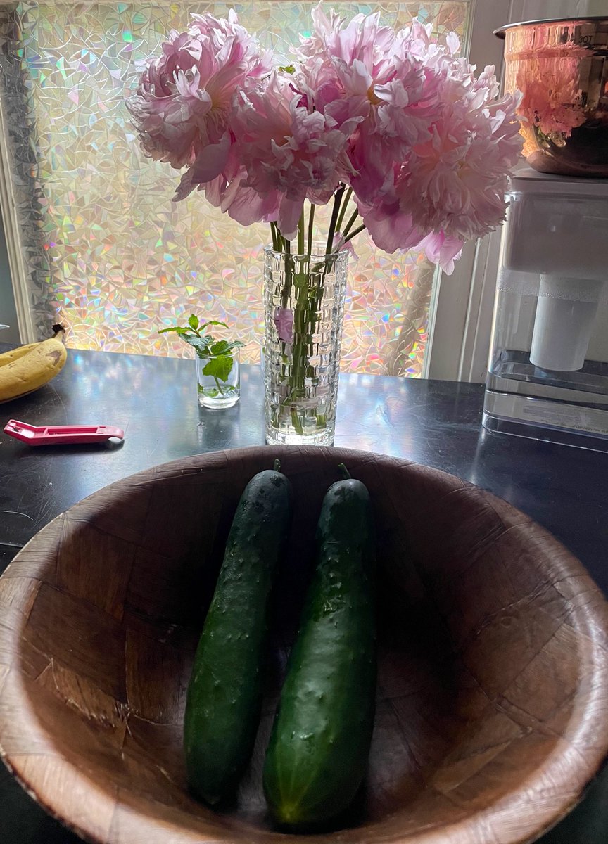 ladylovelylibRT's tweet photo. peonies blasting and 2 cucumbers from the garden today but also my sleep habits are trash and i’m still awake at 5am https://t.co/VitMet2XSI
