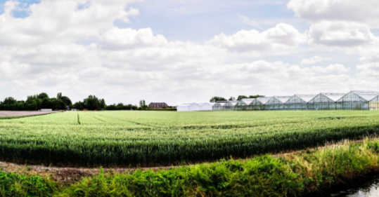 Más de 400 empleados de Cisco caminarán desde diversos puntos de salida hasta Santiago de Compostela, en una iniciativa que reúne #innovación, #tecnología y #sostenibilidad para la lucha contra el cáncer ➡️  cs.co/6011zVTAP

#Camino2022 #WeAreCisco #WeChallengeCancer