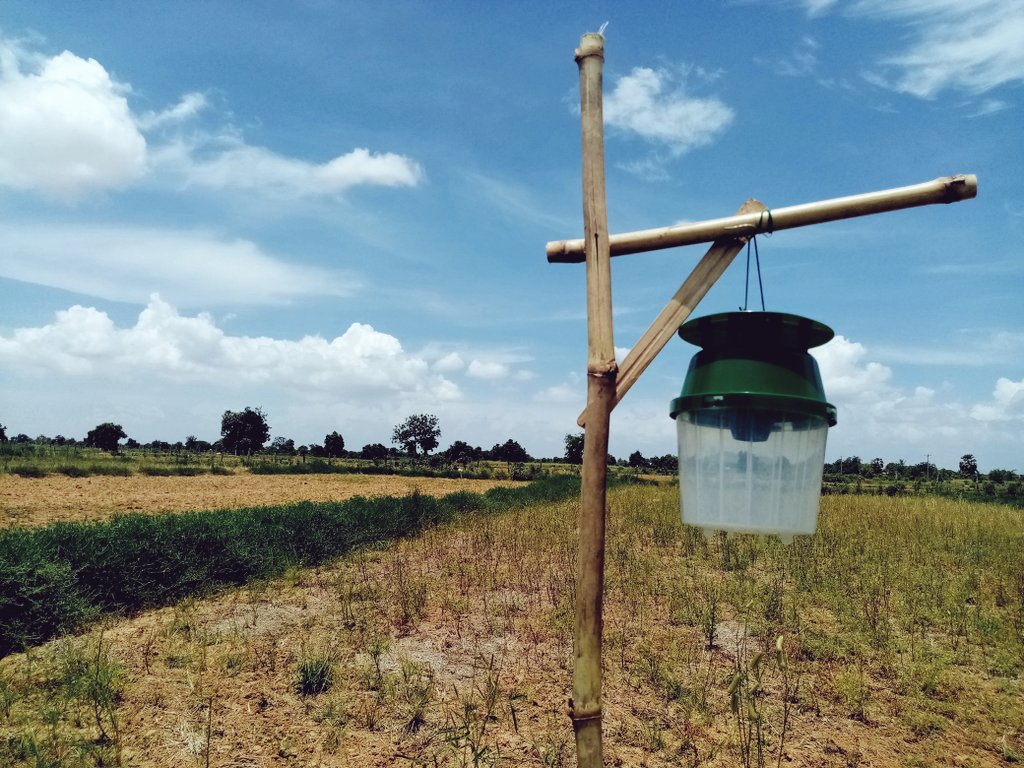 MathildeDionis1's tweet photo. Setting up of pheromone traps in the Wat4Cam experiment (Reang Kesei) for 6 insect pests @MathildeSester #WAT4CAM #Agroecology #Cambodia https://t.co/3wIpVGgLTf