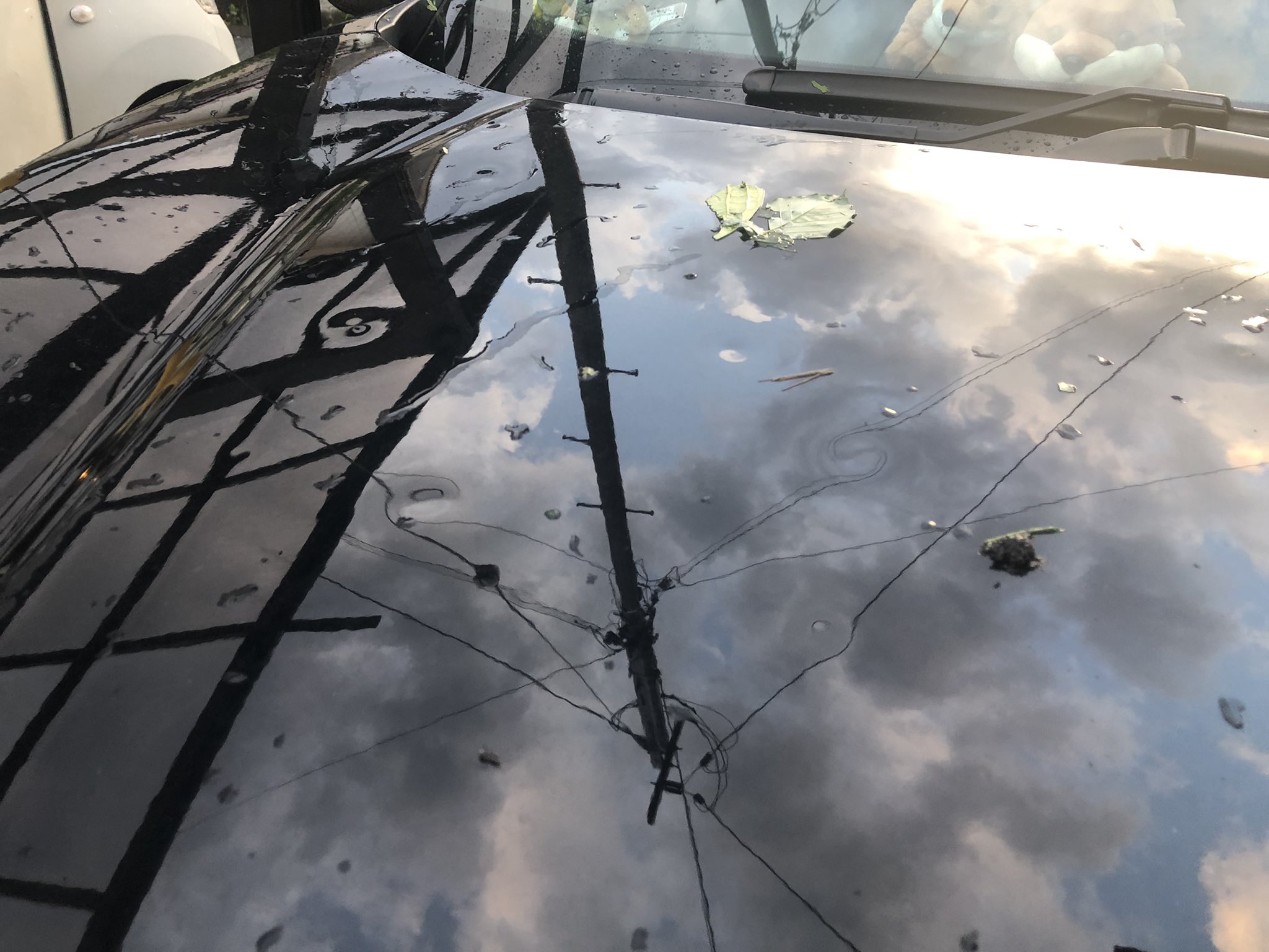 わちゃ 雹で車ボコボコ T Co Jsb4yp2uuy Twitter