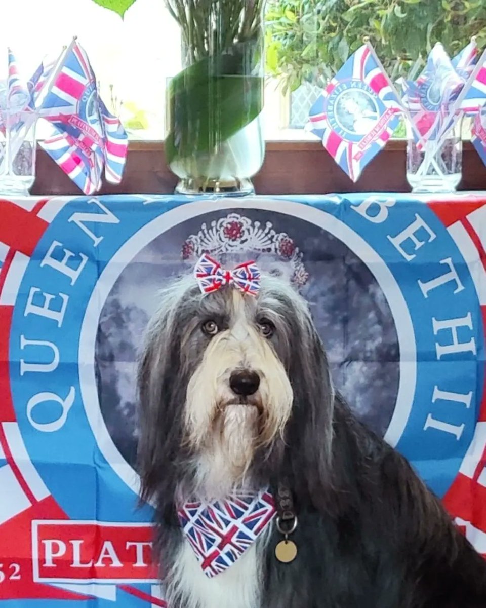fillyfauna's tweet photo. ,#QueenElizabeth https://t.co/BWSE1di1hX
