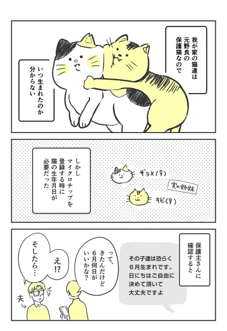 マイクロチップとお誕生日と6月2日について 