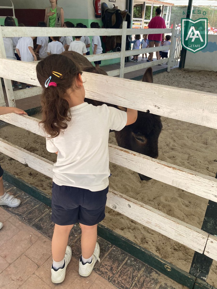 LosAdeso's tweet photo. Ayer estuvimos de excursión en la granja con los alumnos/as de 4 años. Pudieron hacer actividades divertidísimas donde conocieron el entorno natural y aprendieron gran cantidad de cosas sobre los a animales. https://t.co/fu2vXVIS6O