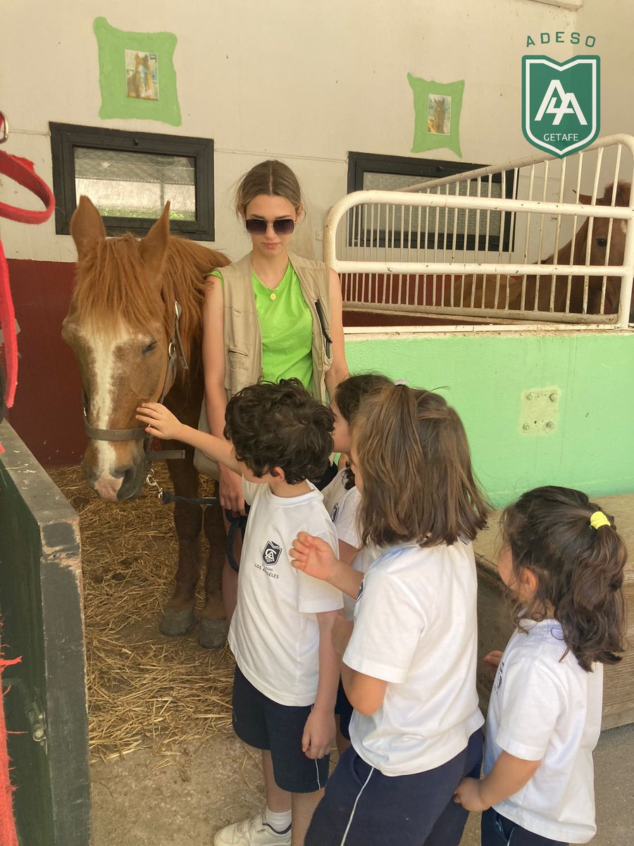 Ayer estuvimos de excursión en la granja con los alumnos/as de 4 años. Pudieron hacer actividades divertidísimas donde conocieron el entorno natural y aprendieron gran cantidad de cosas sobre los a animales.
