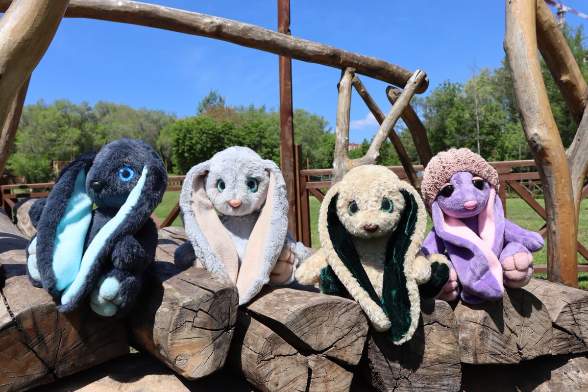 Юлия Рябова tweet media