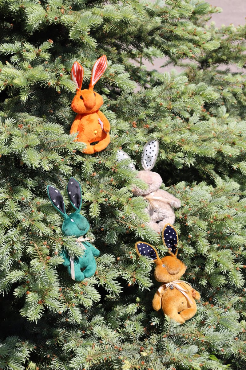 В ожидании Мазая. Все ушастики свободны