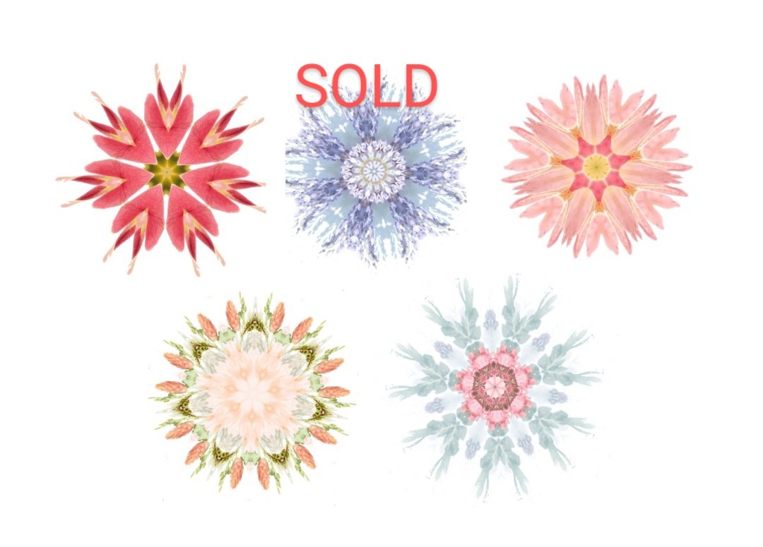 What lies behind you and what lies in front of you, pales in comparison to what lies inside of you. 🌈🌸

0.004 #eth
opensea.io/collection/amb…

#NFTs #NFTCommunity #NFTProjects #nftarti̇st #PolygonNFT