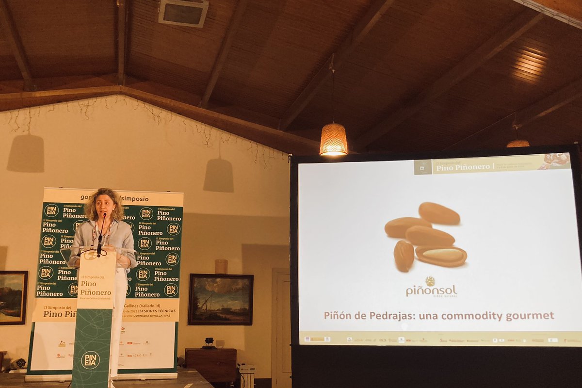 Hablamos del #piñón Pinus pinea y la importancia de la #diferenciación del producto frente a otras variedades <a href="/go_pinea/">GO PINEA</a> #SimposioPiñonero2022