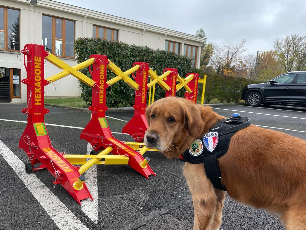 INCYBER_Europe's tweet photo. Marley, 🐶Cyber sniffeur d'@Ubcom_eu a déjà son badge, lui! Et vous? Il vous donne rdv @LilleGrandPalai à partir du 7 juin! https://t.co/ojuapaWAlO #FIC2022 #CyberSecurity #DogLover https://t.co/XpzX3VWx5m