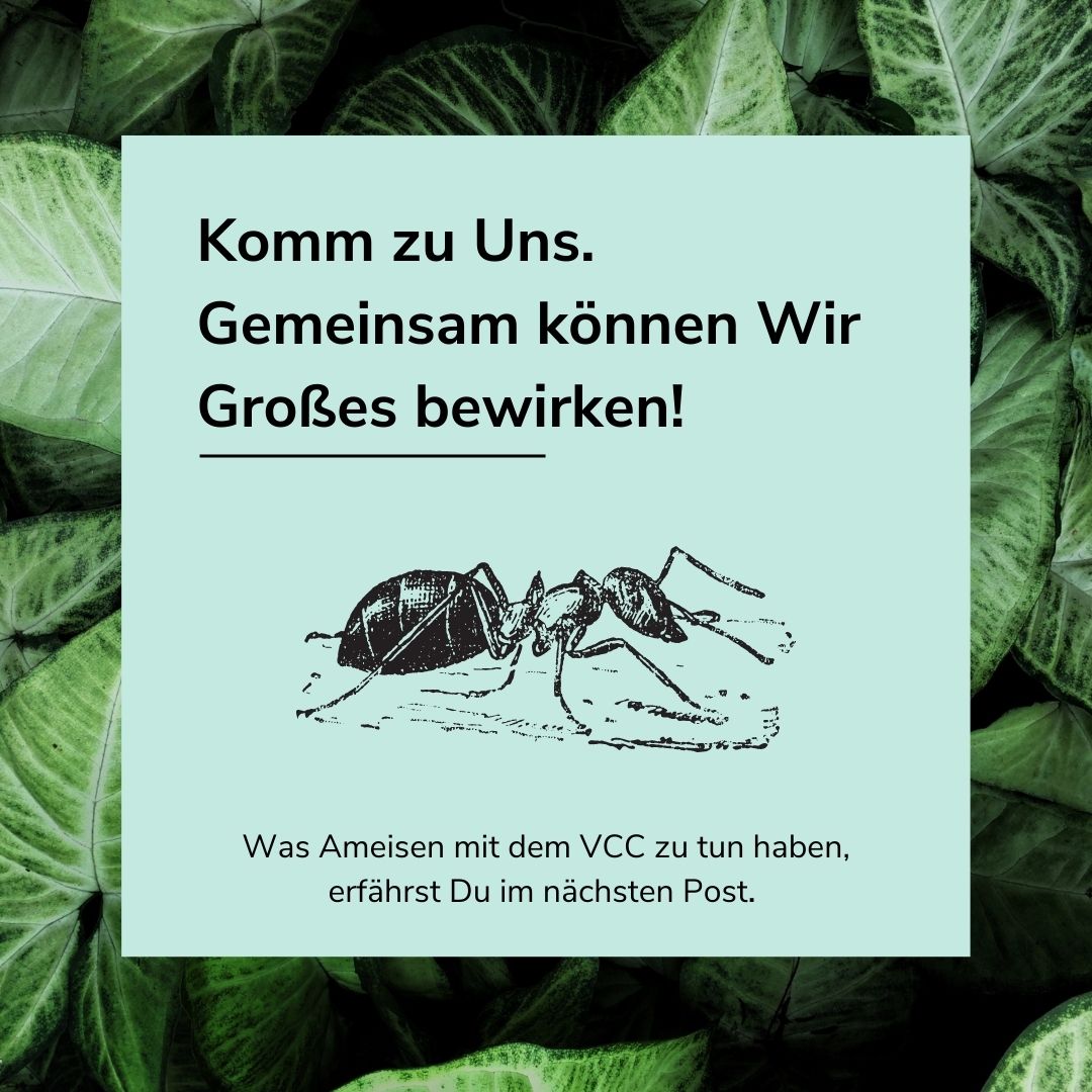 VC_CAMPUS's tweet photo. https://t.co/fHXzGhCOOv