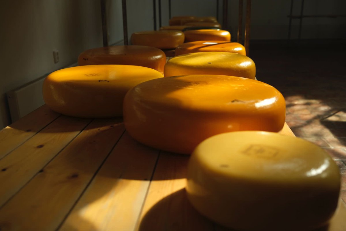 De Verwondering geeft Gouda door tweet media