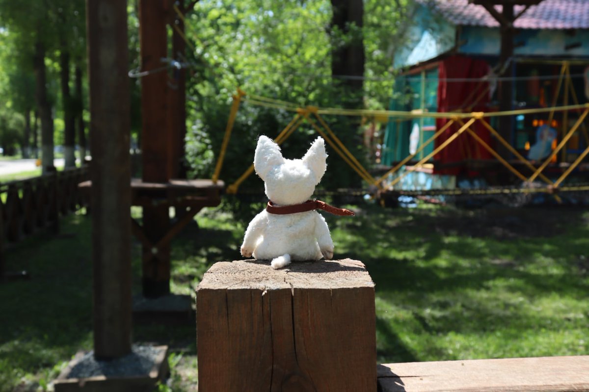 Юлия Рябова tweet media