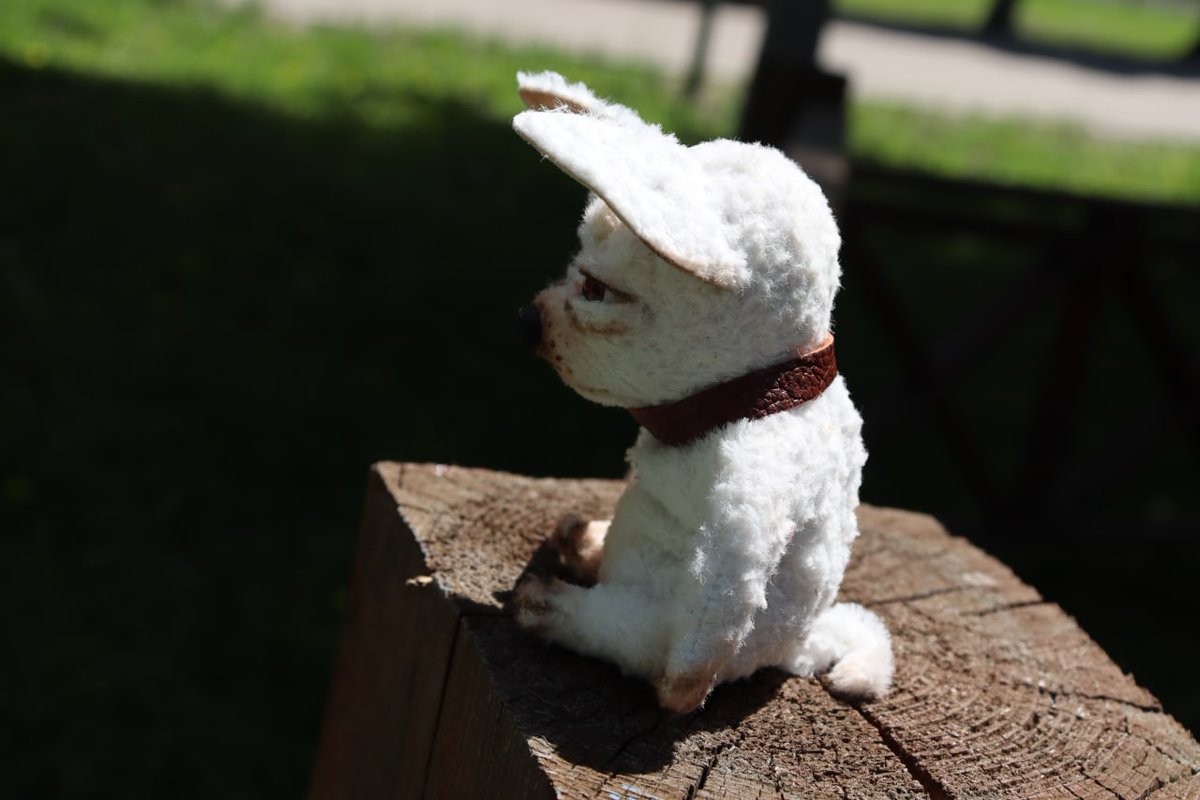 День сегодня, честно говоря, не очень. Даже очень не очень.