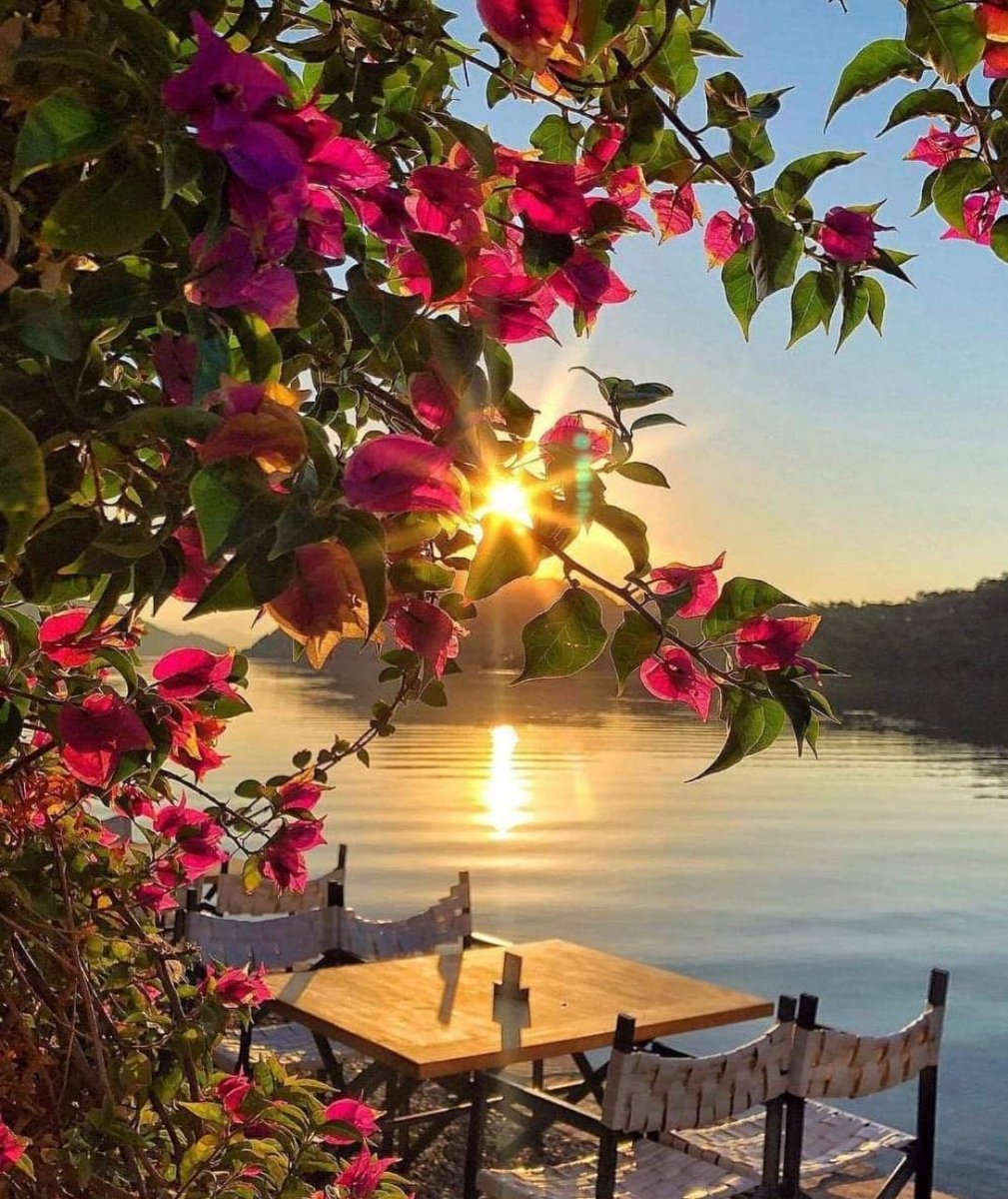 ShafiulHasanCtg's tweet photo. If you can not laugh, no one will cry. If you can not give joy, no one will trouble. If you can not love, do not hate anyone. And if not anybody, then no one will be enemies? https://t.co/9xbLbXIpmB