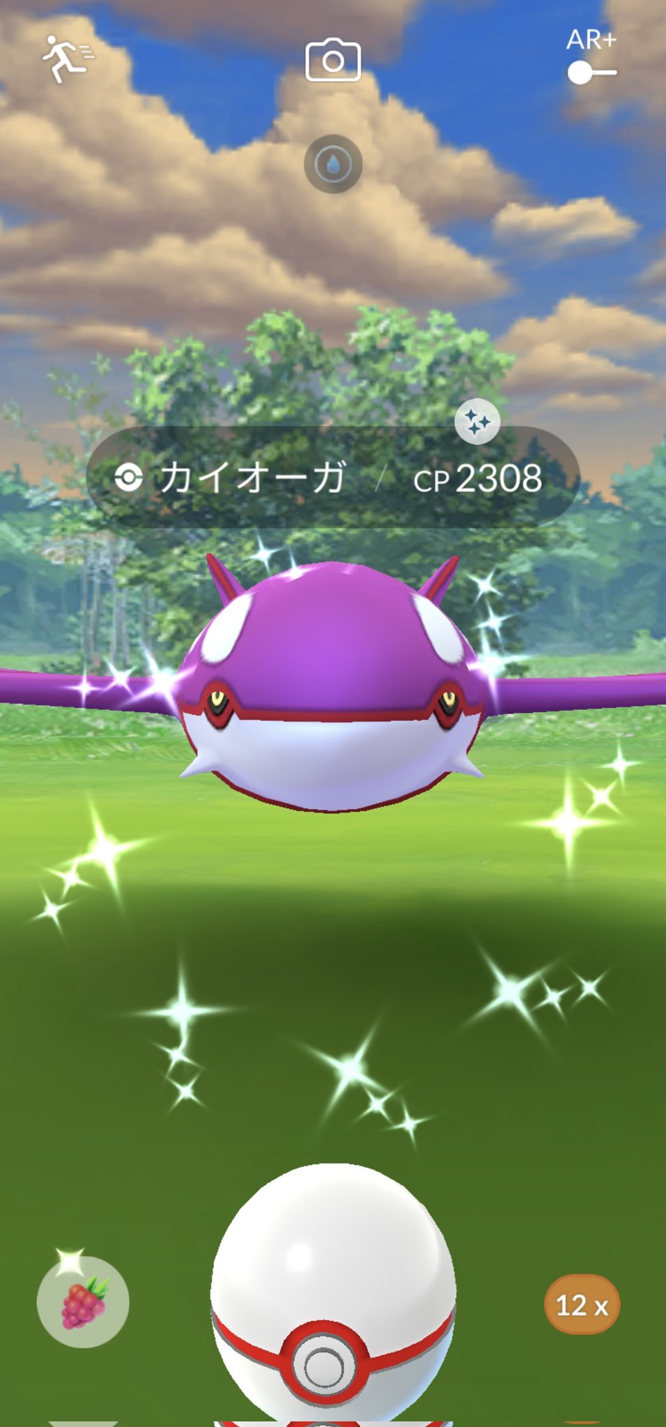 カイオーガ色違い Twitter Search Twitter