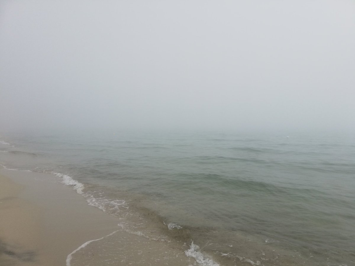 Euri100Dice 🦄 tweet media