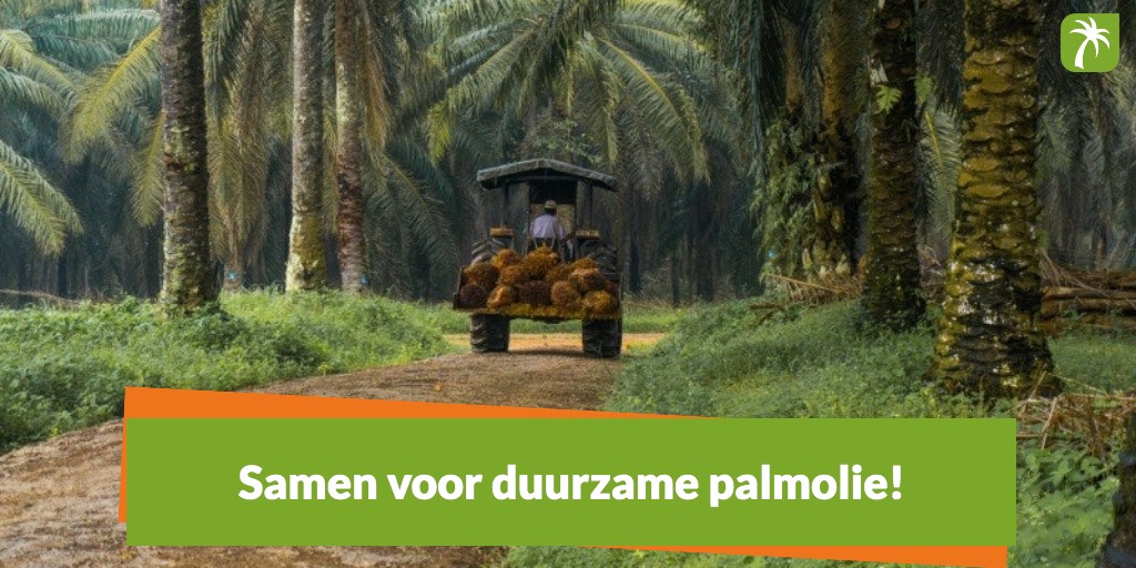 DutchPalm's tweet photo. Het terugdringen van #ontbossing &amp; het creëren van kansen voor kleine boeren wereldwijd. Dat is waar #duurzamepalmolie voor staat. Maar dat kan alleen als iedereen zich daarvoor inzet. Ontdek wat ook jij kunt doen! Benieuwd? Bekijk onze website: https://t.co/TtmnKuWSBo https://t.co/49MbMbOMMC