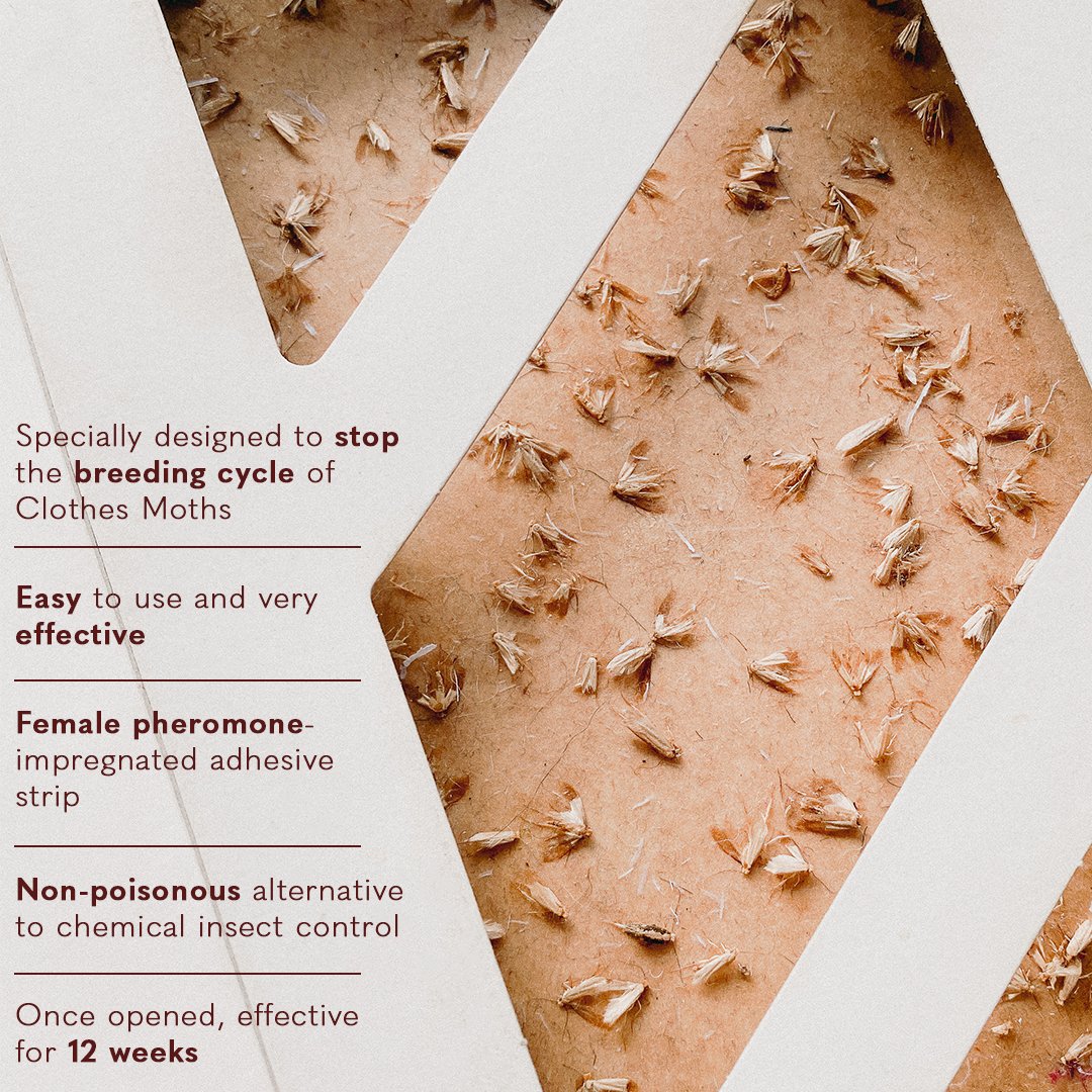 Time to grab yourself a Moth Box &amp; a set of Refills! Especially for you this Jubilee weekend with our special offer 🇬🇧👑⁠
Not sure on if you have a moth problem? Get your Moth Box now!
Head to our Instagram to find out more. ⁠Happy BH 🍰🇬🇧 #twc
⁠