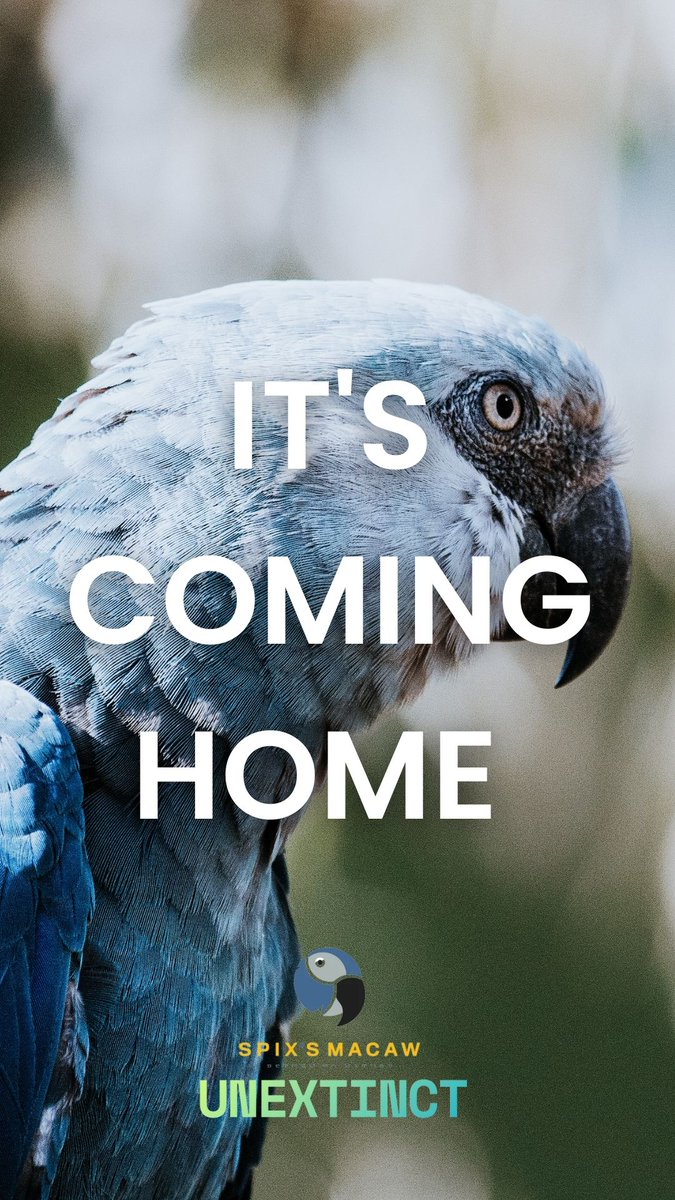 UNEXTINCT tweet media