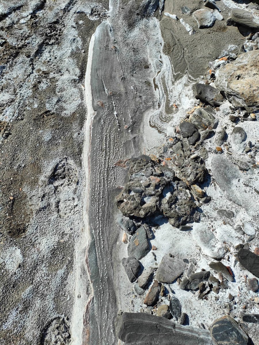 jacacool's tweet photo. Working in the #TabernasDesert @sepiegob @iesierradegador @ErasmusEwog @Pluri_Almeria https://t.co/4qRF9znHQH