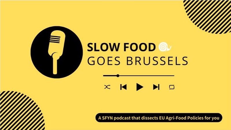 SFYNetwork's tweet photo. The “Slow Food Goes Brussels” podcast series is all dedicated to European 🇪🇺 Food and Agriculture Policies, and hosts experts from EU offices to explain and discuss together. A new episode on ANIMAL WELFARE is out now!
🎧Available on Spotify & Apple Podcast #sfynpodcast #sfyn https://t.co/UFMH6e1SPu