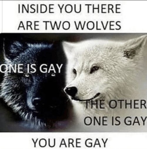 minni wolf tweet media
