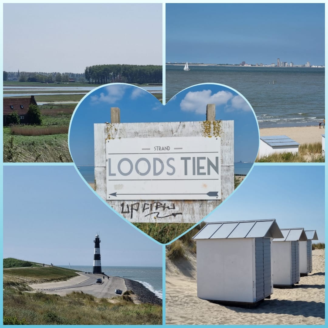 Save the date: 28 juni Business Walk &amp; Diner bij <a href="/busnetzee/">BUSNETZEE</a>  businessnetwerken.nl/zeeland/events…