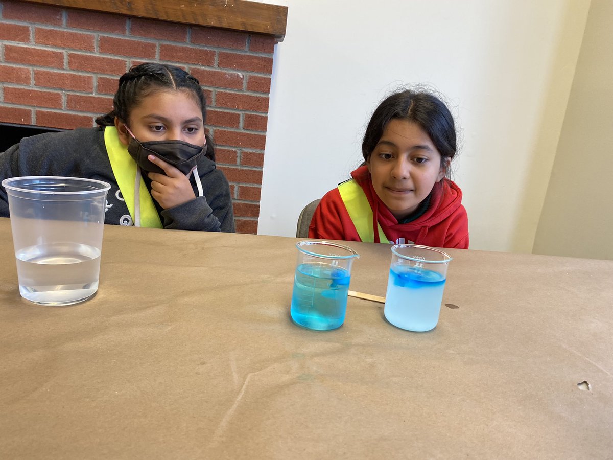 Esbarrett2000's tweet photo. Had a fantastic day at Seven President’s with some future scientists!  @AmerigoSchool #TogetherWeCan https://t.co/nWy0KDrIE1