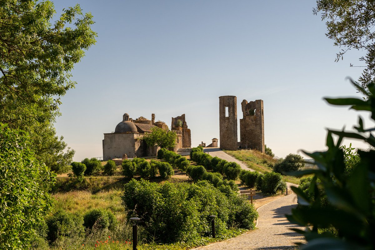 visitportugal's tweet photo. #Rout_e Sustainable Touring in #Portugal
A #sustainable and surprising way to get to know Portugal is by #electric #motorcycle. See our selection of best moments of Rout-e in #Alentejo and get inspired to go on an adventure... 4/4
Follow us on Instagram Stories
#VisitPortugal https://t.co/MWJw8V7iQW