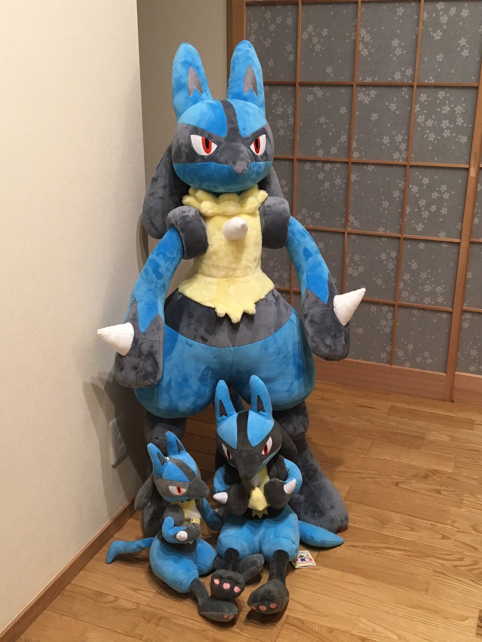 あややや 等身大ルカリオの近くに中ルカリオと小ルカリオを設置して オヤブン誕生 と満足そうな息子 頭の中はゲーム世界 等身大ルカリオ レジェンズアルセウス オヤブン T Co Eos6g7rf0w Twitter あややや 等身大ルカリオの近くに中ルカリオと小ルカリオを設置して オヤブン誕生 と満足そうな息子 頭の中はゲーム世界 等身大ルカリオ レジェンズアルセウス オヤブン T Co Eos6g7rf0w Twitter