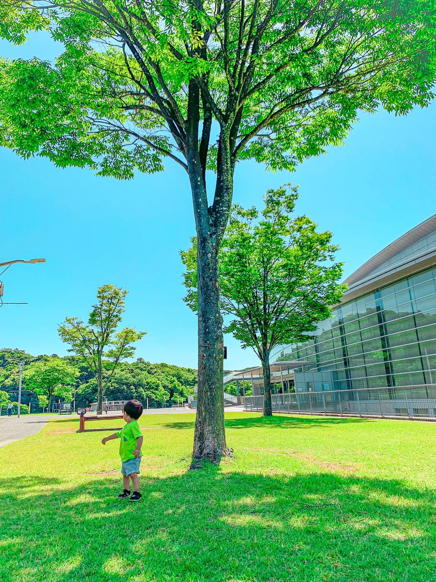 621Kentaro's tweet photo. すぐ大きくなるんやろうな。
何気ない瞬間も形に残していこう https://t.co/q9F4T2bATD