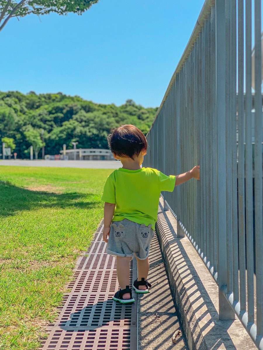 621Kentaro's tweet photo. すぐ大きくなるんやろうな。
何気ない瞬間も形に残していこう https://t.co/q9F4T2bATD