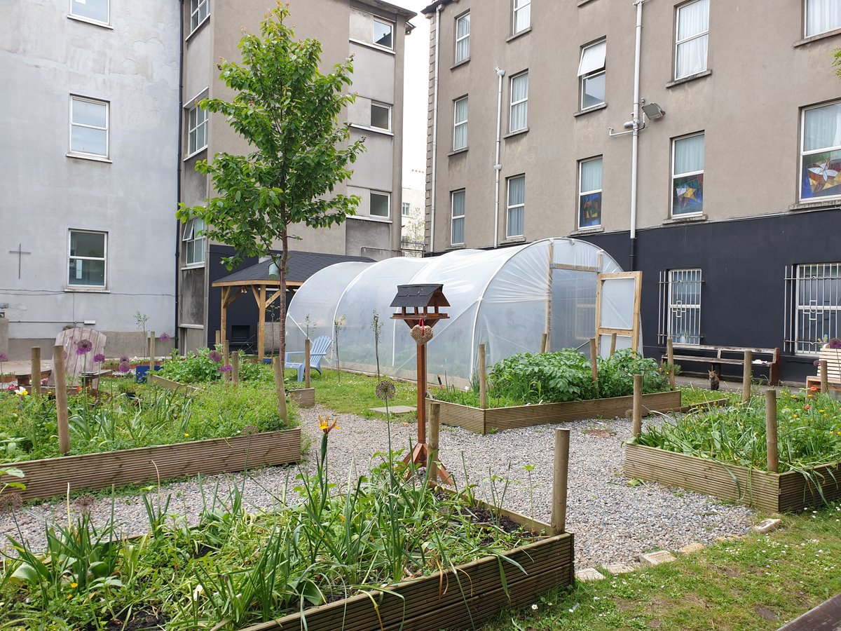 O'Connell Secondary School 🇮🇪 tweet media