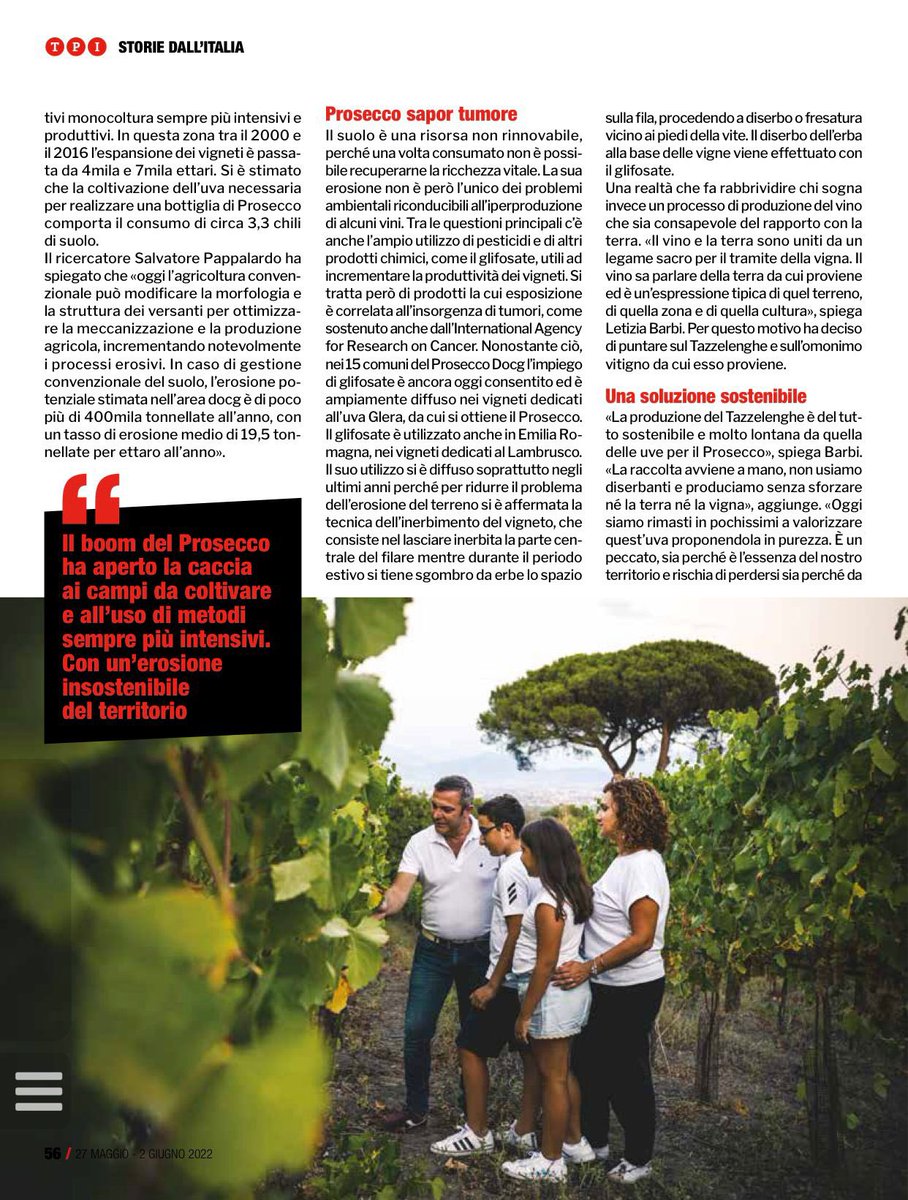 Casa Setaro tweet media