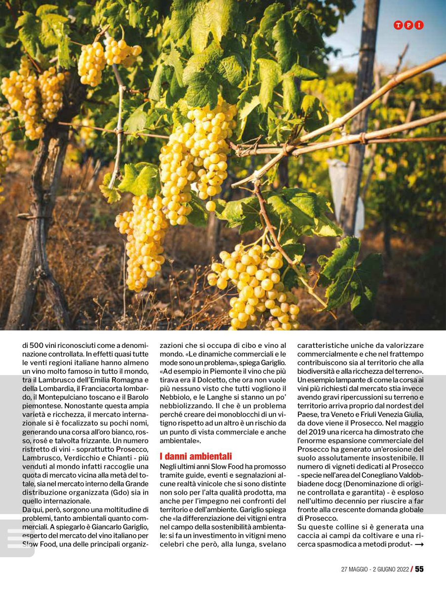 Casa Setaro tweet media