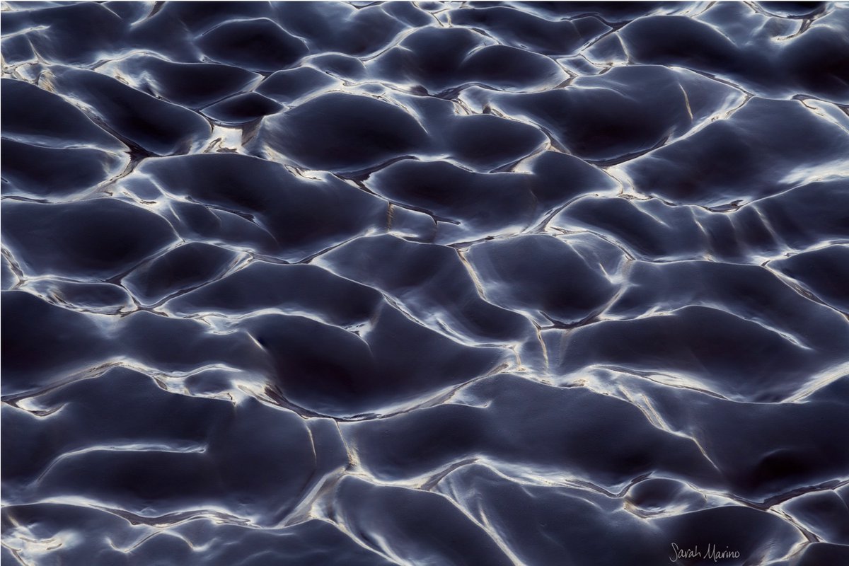 Nature Photographers Network tweet media