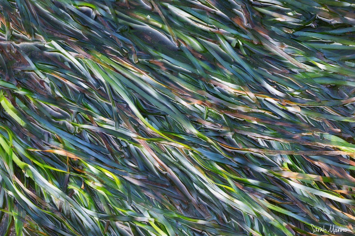 Nature Photographers Network tweet media