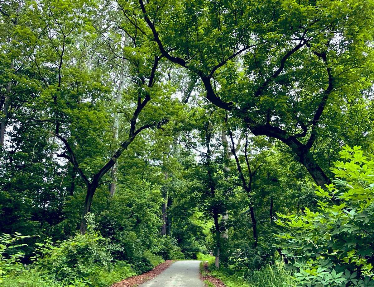 A walk/run in <a href="/clevemetroparks/">Cleveland Metroparks</a> is a good way to start the day.