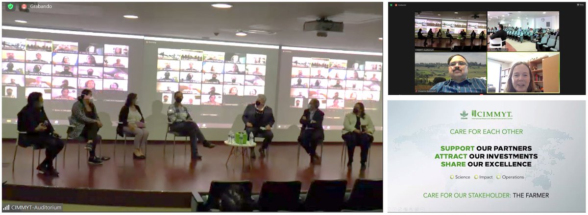 bramaccimmyt's tweet image. Great spirit thanks to all of you participating in @CIMMYT’s hybrid-in-person &amp;amp; virtual Town Hall! Presentations full of #ExcellenceInScience, #ExcellenceInOperations &amp;amp; key questions to continue co-building today solutions for tomorrow’s problems. Proud of you all!