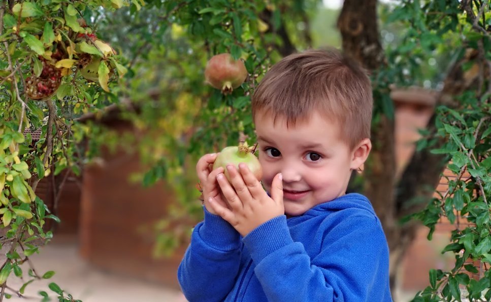 CREAF_ecologia's tweet photo. Els arbres són la solució, també a l'escola! Teniu arbres al pati? Sortiu fora a fer classe? No massa 💔
La veu de més de 100 mestres ens diu:
❌ Patis massa cimentats
❌ Parcs massa lluny de l'escola

Us uniu al moviment per canviar el paradigma? 👇🏽 https://t.co/3iV0Q8MIwY