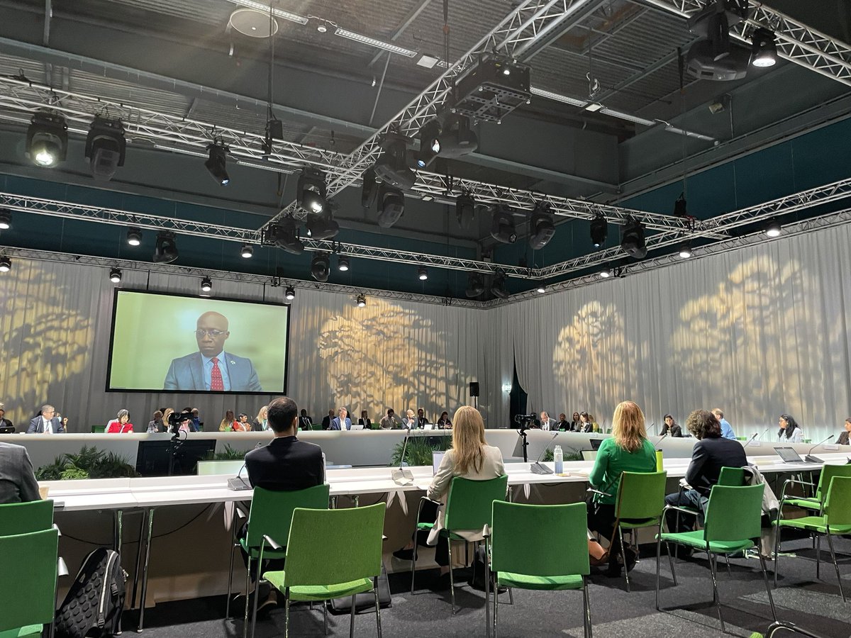 Dirk Messner <a href="/GermanEnvAgency/">German Environment Agency</a> on the action plan for sustainable planet in the digital age - the coalition for digital environmental sustainability (CODES) states the need for global standards to manage geopolitical divide and equity divide #Stockholm50