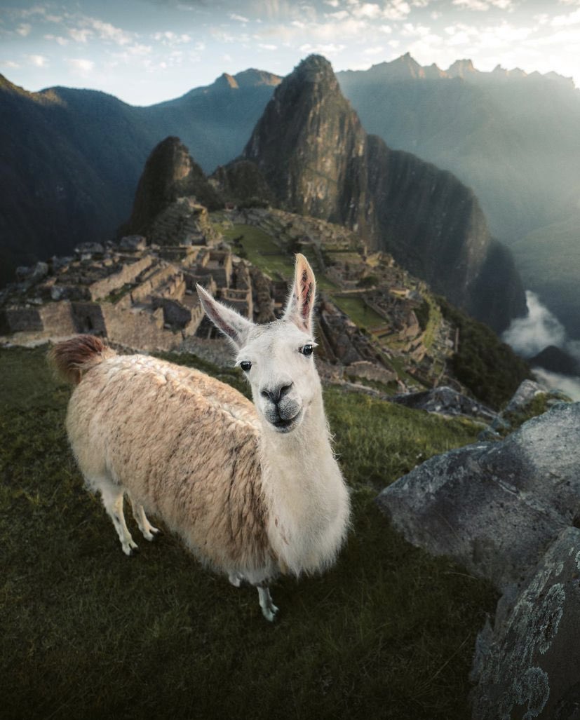 PIĘKNO GÓR⛰️#Machu_Piccho, #Peru #EmmettSparling