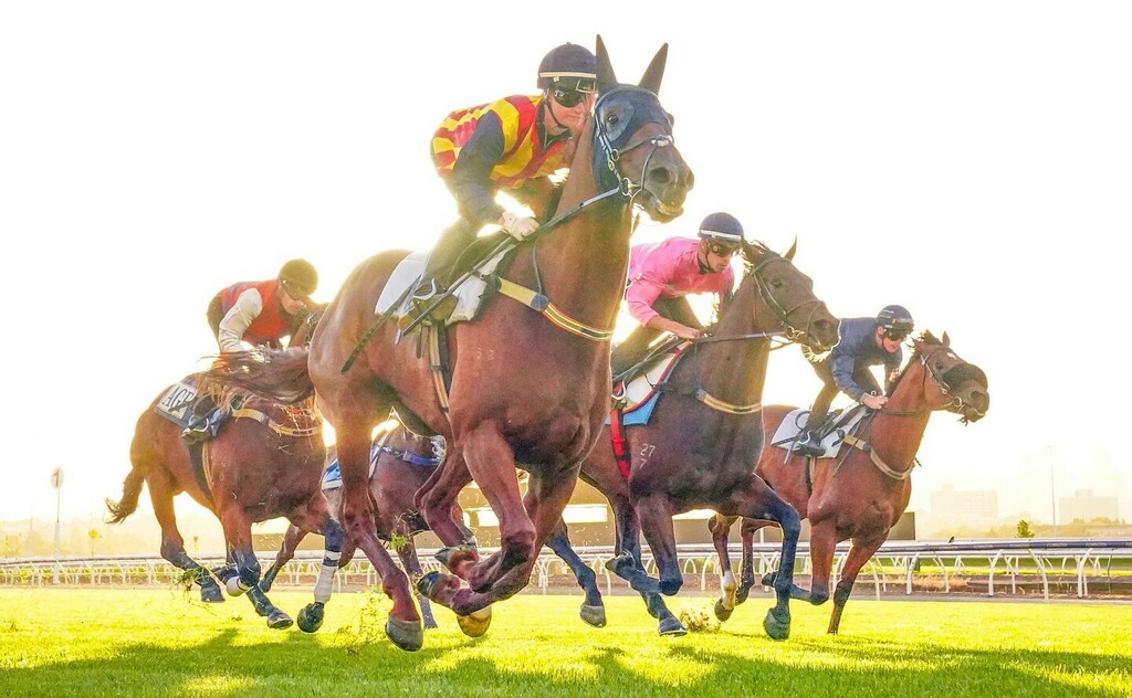 This week I was lucky enough to be awarded Runner Up in the Professional category in the Women in Sport Photo Awards, celebrating the incredible female athletes in Australia. The picture was shot on assignment for the <a href="/racingphotos/">Robert Adams</a> team and is of <a href="/jamiel/">Jamie</a>… instagr.am/p/CeTJytiBsC8/