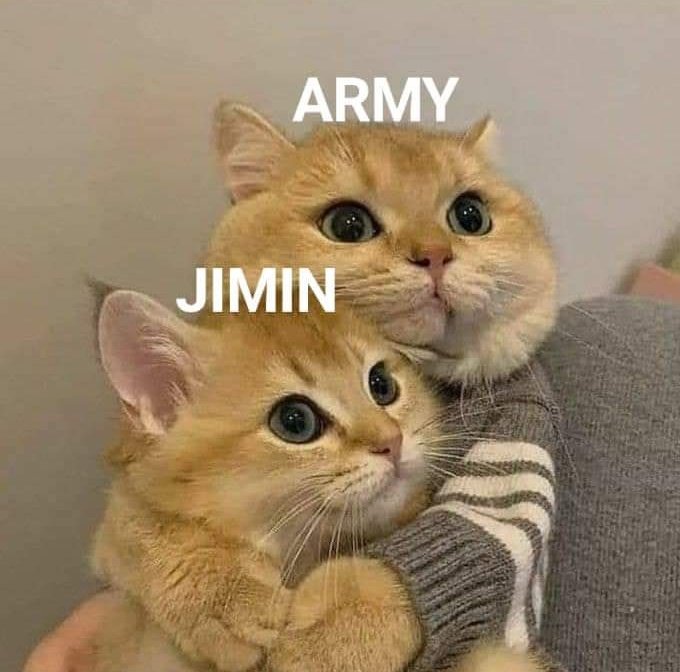 All of my life♡̶‘ttp’ tweet media