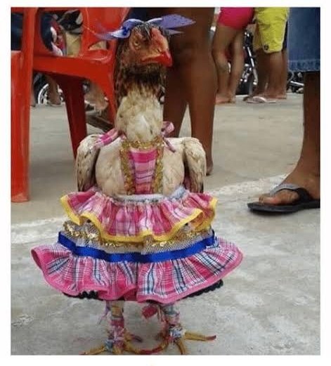 Bom dia meu povo!!! Olha pro c&eacute;u meu amor, veja como ele est&aacute; lindo... Olha a cobra! KD? T&aacute; no seu uc