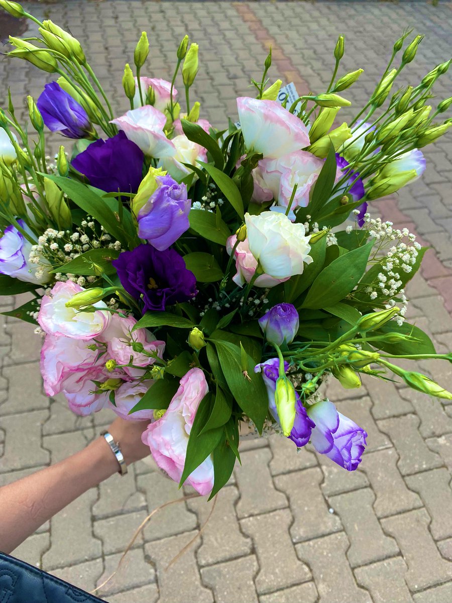 YesilNata's tweet photo. #Flowers 
#çiçekler 
#Home #ArtistOnTwitter 
#Love #artist  #Ukraine️ #girls  #ukrainegirls 
#AskTwitter #Ankara 
#Bayan https://t.co/DJg2lpepF6
